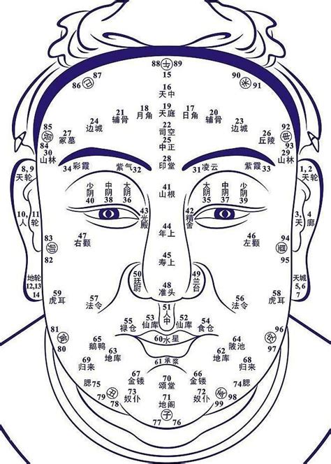 看面相算命|面相算命图解，看面相算命，免费算命面相